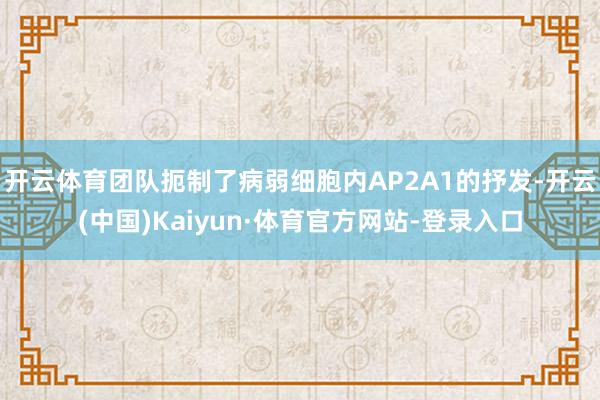 开云体育团队扼制了病弱细胞内AP2A1的抒发-开云(中国)Kaiyun·体育官方网站-登录入口