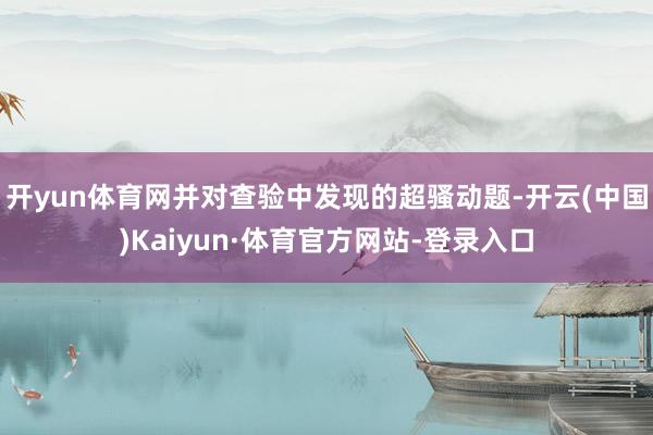 开yun体育网并对查验中发现的超骚动题-开云(中国)Kaiyun·体育官方网站-登录入口